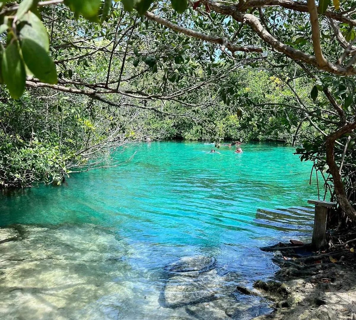 Apartment In Tankah Bay Tulum Where Jungle Meets Beach